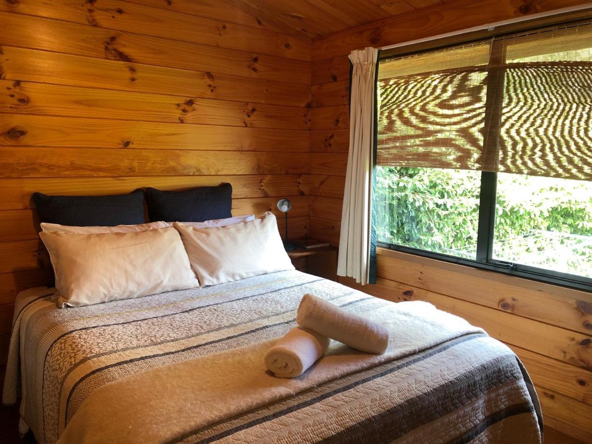Bay View Bach Villa Raglan Eksteriør billede